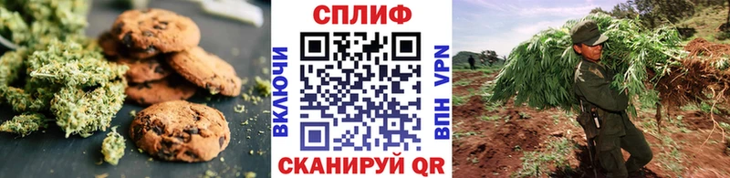 магазин продажи   hydra сайт  Canna-Cookies конопля  Ворсма 