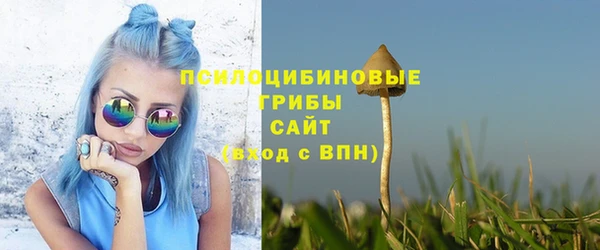 гидра Володарск