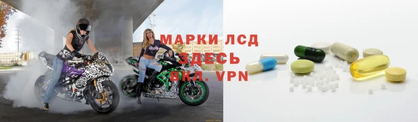 гидра Володарск