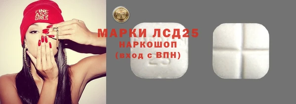 гидра Володарск