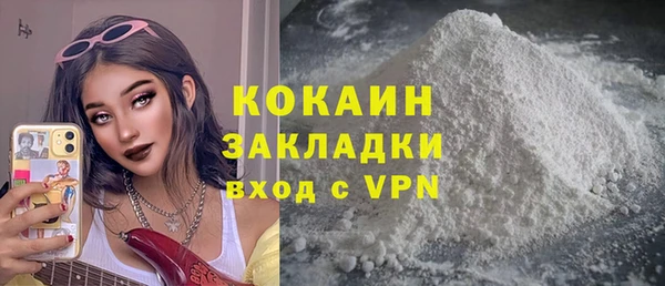 гидра Володарск
