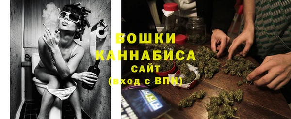 гидра Володарск
