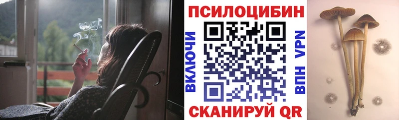 Галлюциногенные грибы прущие грибы  hydra   Ворсма 